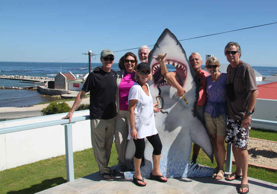 6_shark-cage-diving-gansbaai-south-africa
