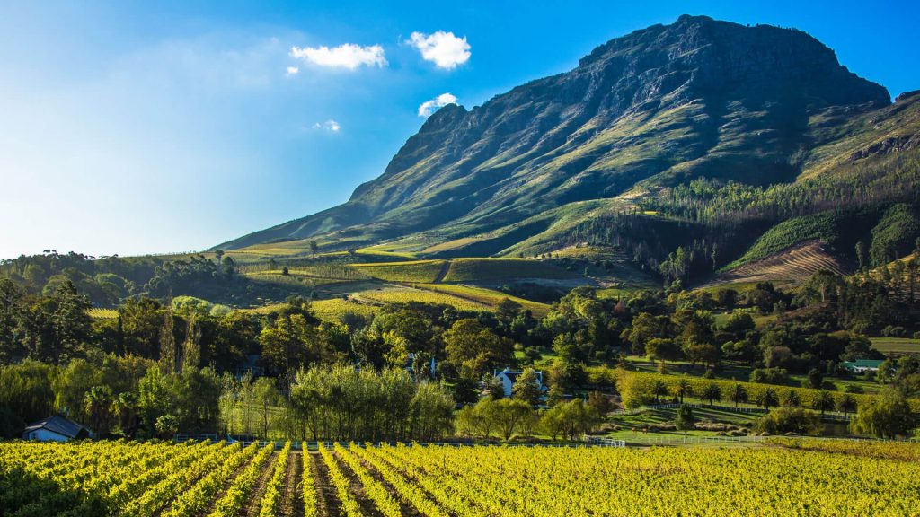 cape-winelands-south-africa